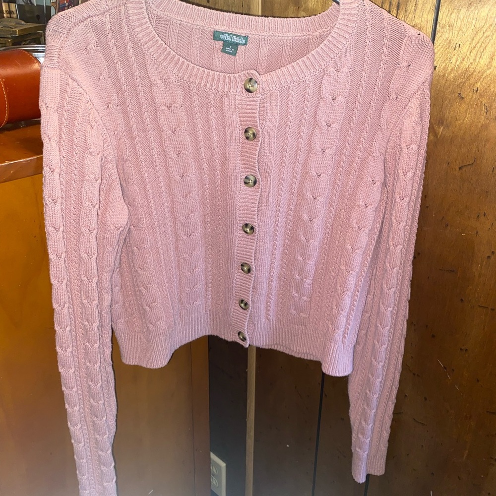large Wild Fable Cropped sweater